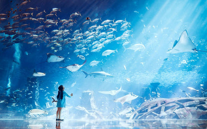 Dubai Aquarium & Underwater Zoo + Aquaventure Waterpark 1 Day Pass