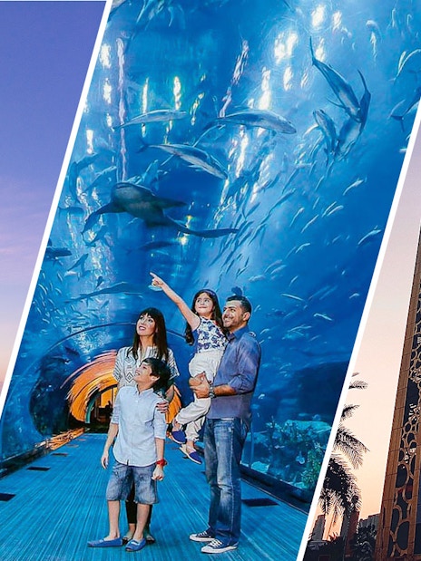 Burj Khalifa + Dubai Frame + Dubai Aquarium &amp; Underwater Zoo Tickets