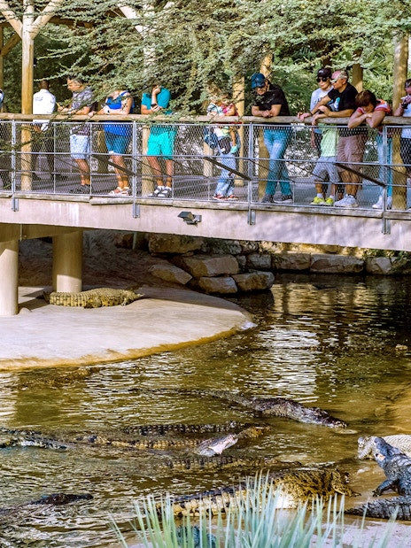 Dubai Crocodile Park Tickets