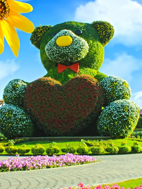 Dubai Miracle Garden Skip-the-Line Tickets with Round-Trip Hotel Transfers