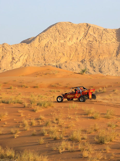 Evening Desert Safari