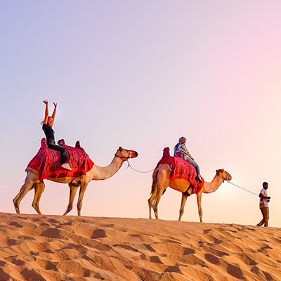 Desert Safari with VIP Majlis