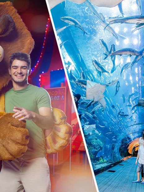 Combo (Save 22%): Motiongate™ Dubai + Dubai Aquarium And Underwater Zoo Tickets