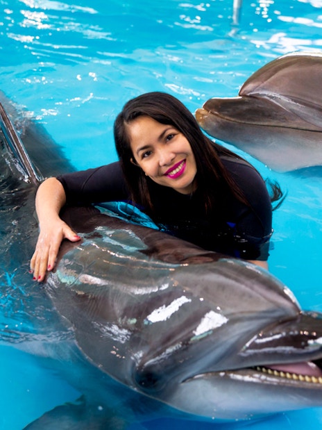 Dubai Dolphinarium Tickets: Swim With Dolphins + Free Seal &amp; Dolphin Show VIP Seating