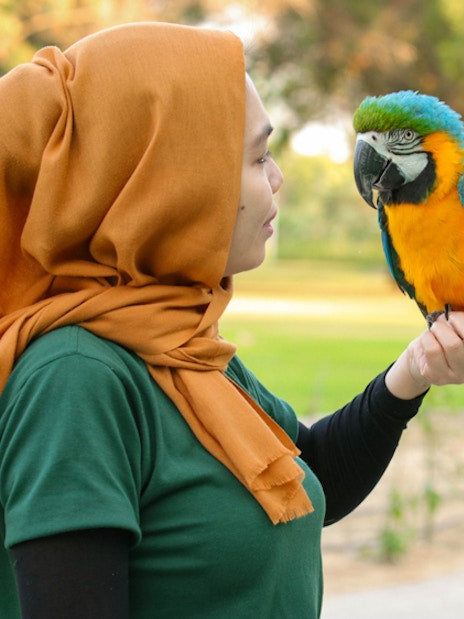 Dubai Dolphinarium Tickets: Creek Park Exotic Bird Show