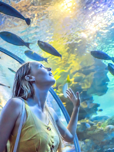 Dubai Aquarium + Sky Views Observatory Tickets