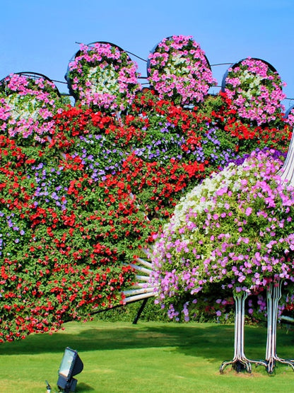 Dubai Miracle Garden + Dubai Butterfly Garden Tickets