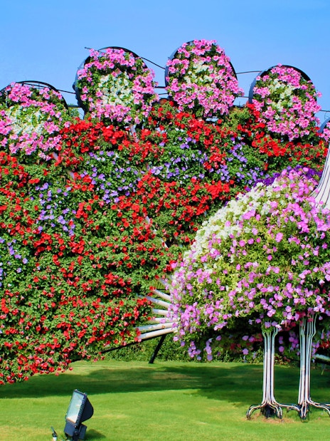 Dubai Miracle Garden + Dubai Butterfly Garden Tickets