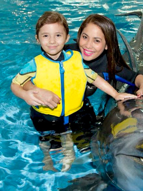 Dubai Dolphinarium Tickets: Swim With Dolphins + Free Seal &amp; Dolphin Show VIP Seating