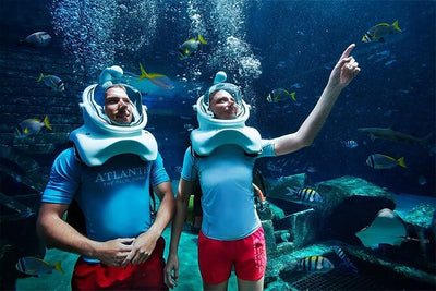 Dubai Aquarium & Underwater Zoo + Aquaventure Waterpark 1 Day Pass
