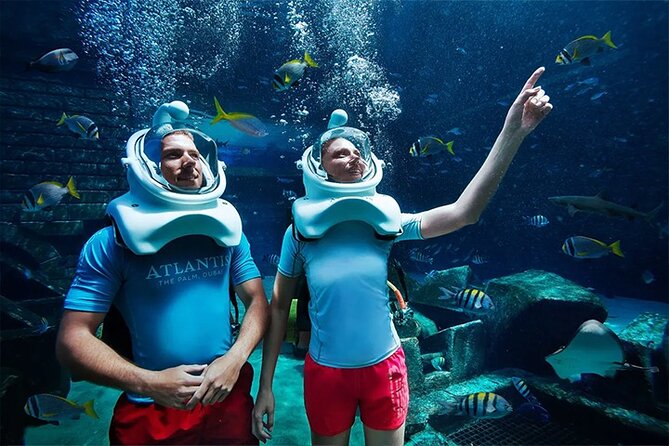 Dubai Aquarium & Underwater Zoo + Aquaventure Waterpark 1 Day Pass