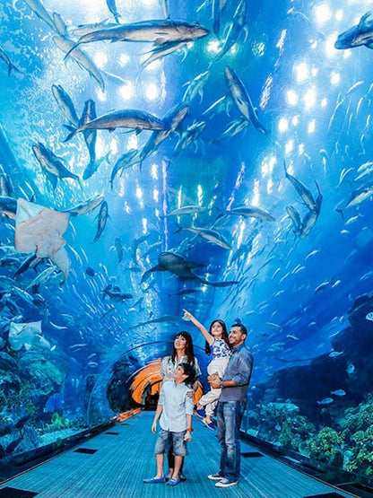 Go City Dubai Explorer Pass: Choose 3 to 7 Attractions