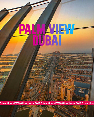 THE VIEW AT THE PALM PRIME TIME