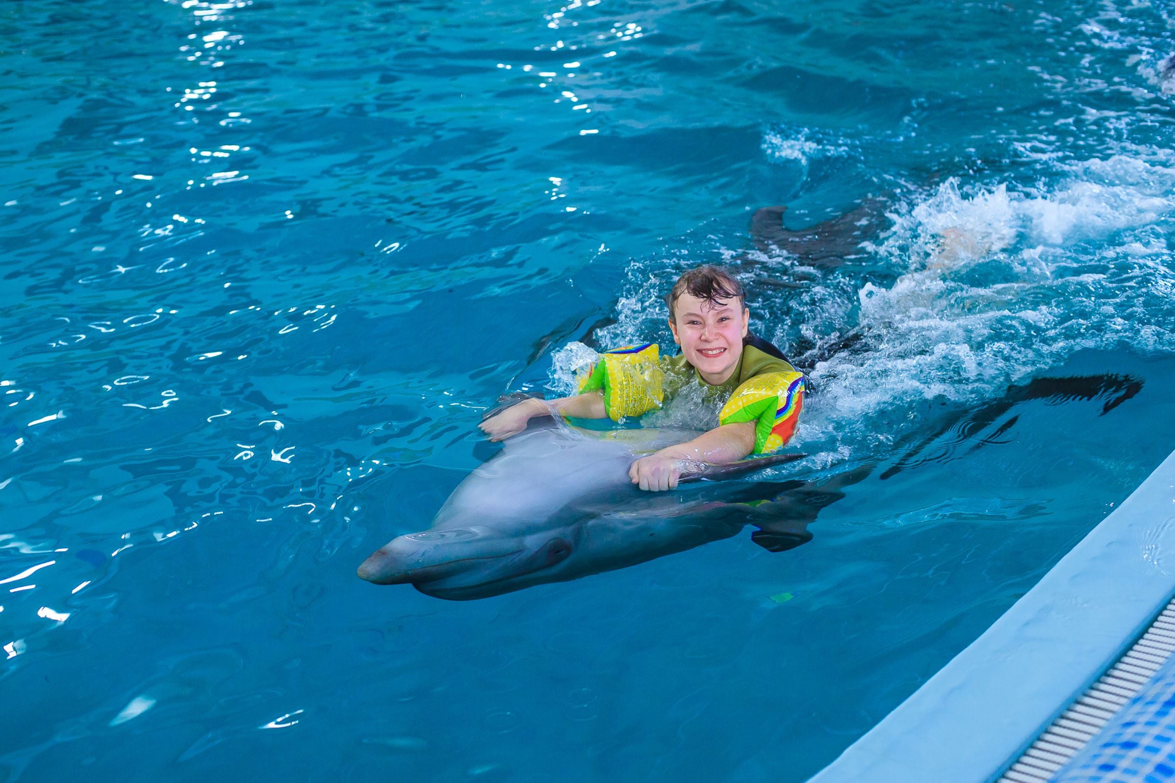 Dubai Dolphinarium Tickets: Swim With Dolphins + Free Seal & Dolphin Show VIP Seating