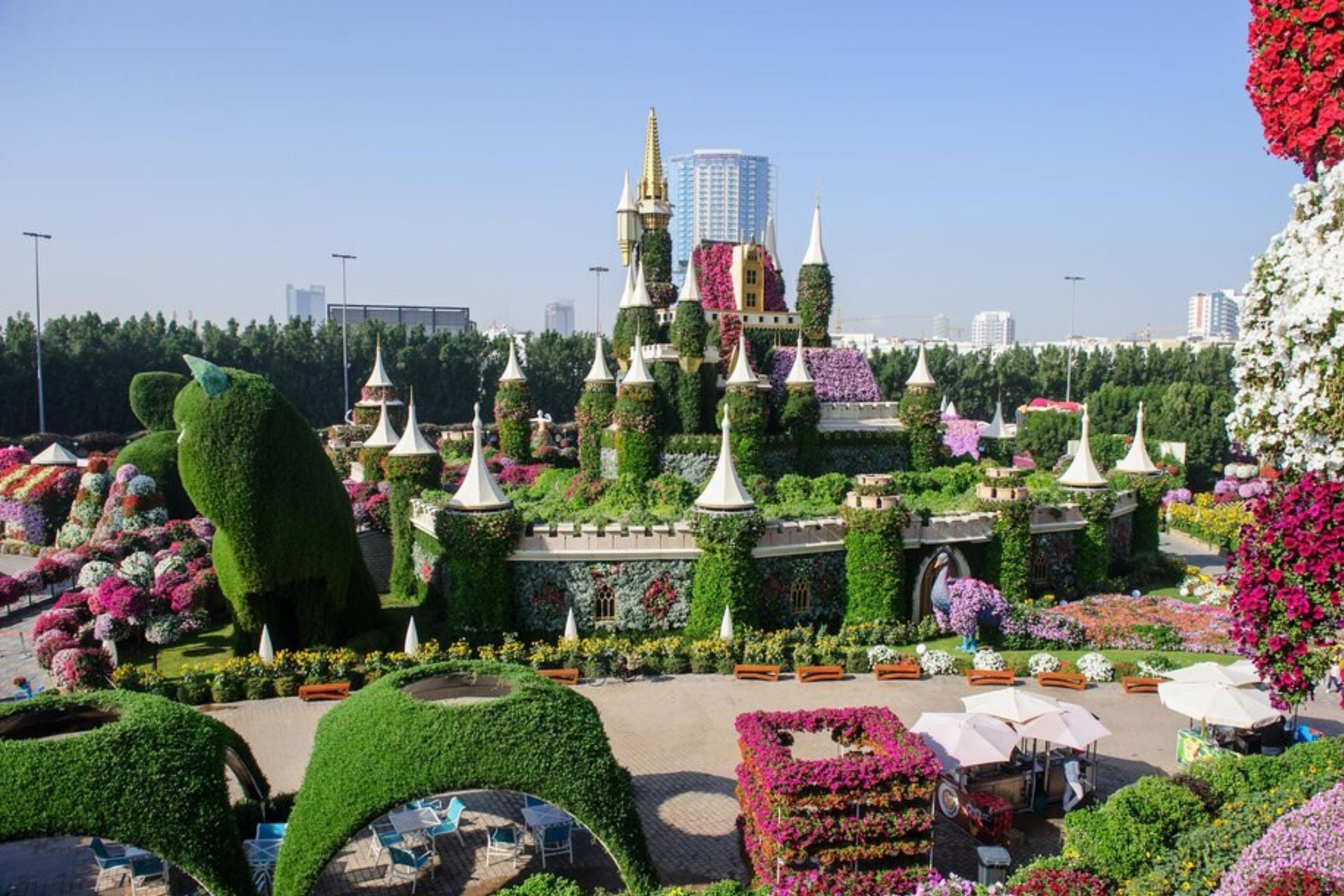 Dubai Miracle Garden Skip-the-Line Tickets + Museum of the Future Dubai Tickets