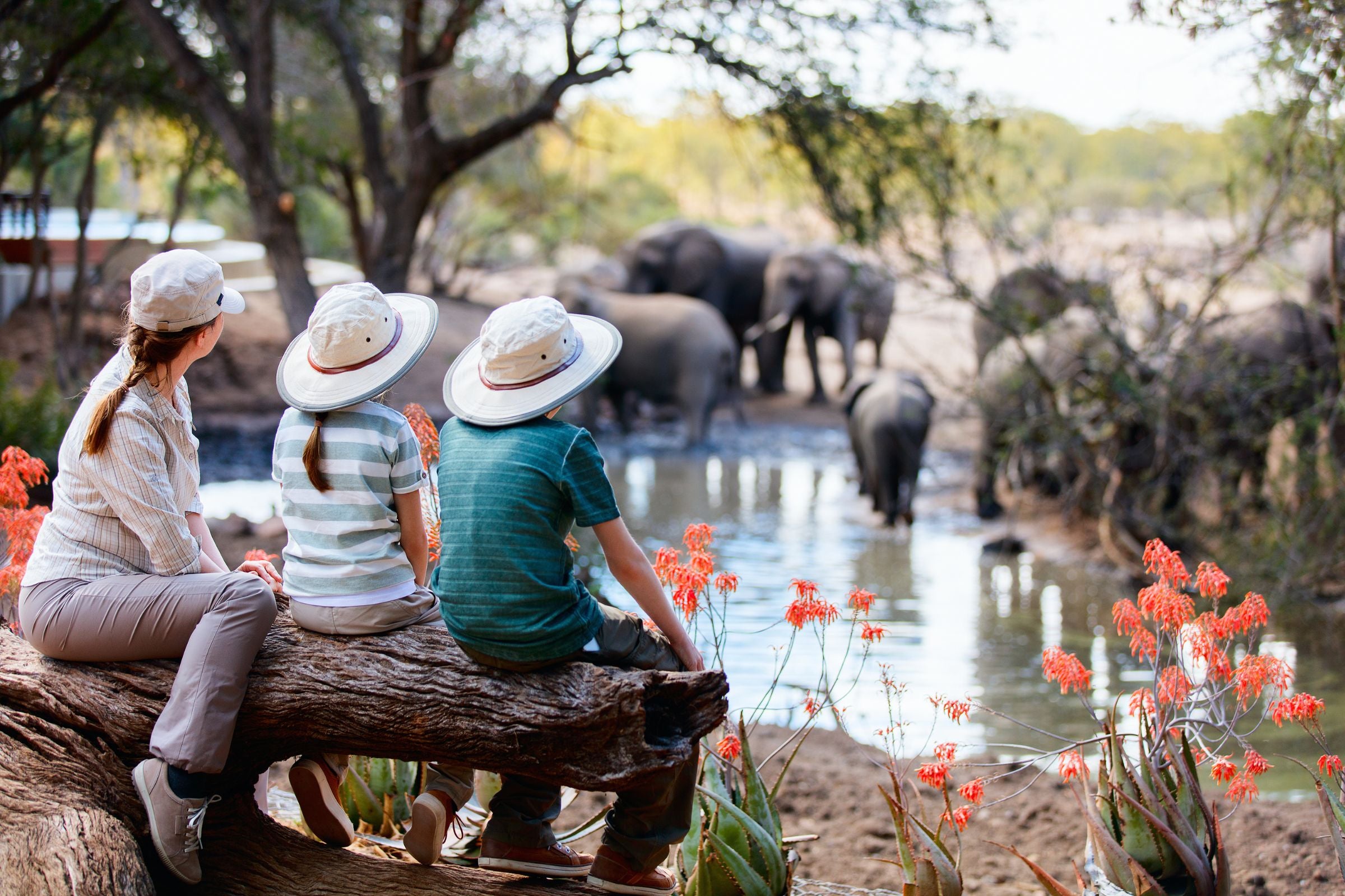 Dubai Safari Park Explorer Safari + Green Planet Tickets