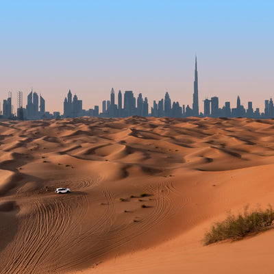 Desert Safari with VIP Majlis