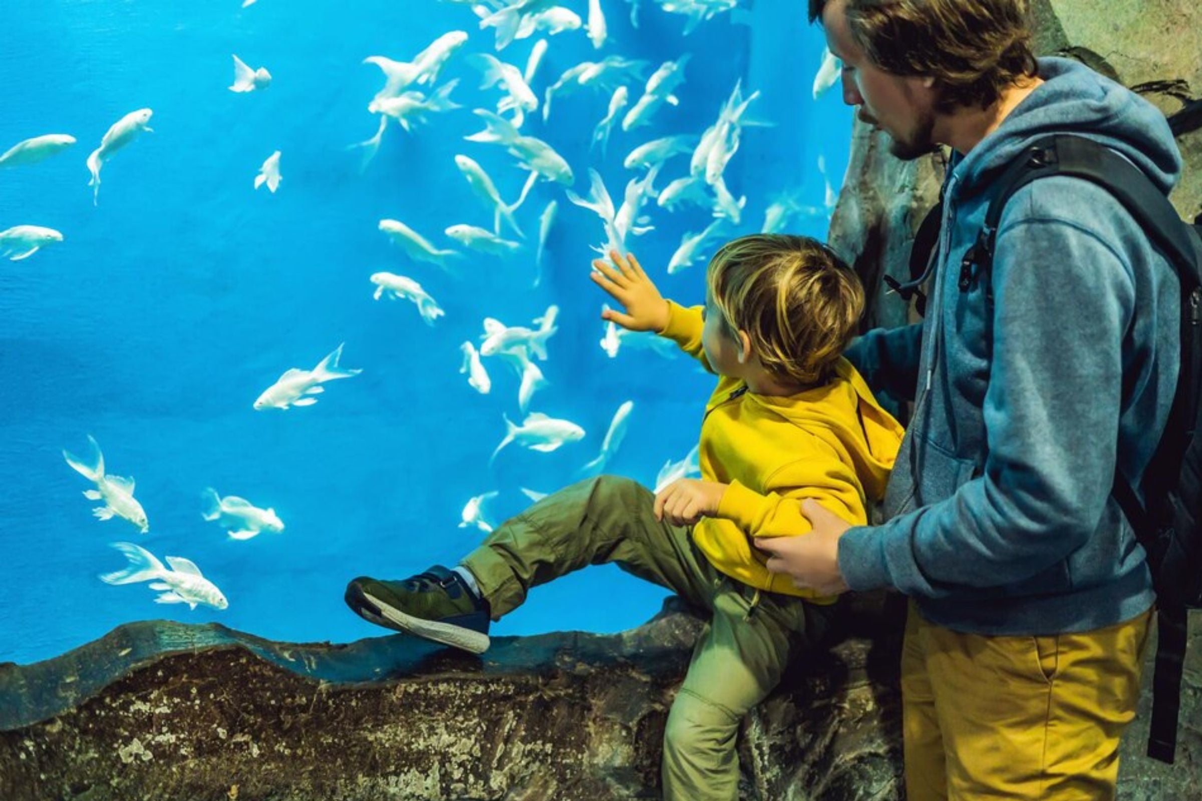 Fish Tales Tour + The Lost Chambers Aquarium Day Pass