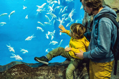 Fish Tales Tour + The Lost Chambers Aquarium Day Pass
