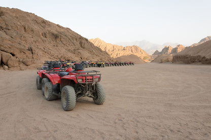 Budget-Friendly Evening Desert Safari + Dubai Miracle Gardens Tickets