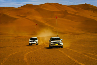 Budget-Friendly Evening Desert Safari with BBQ Dinner + Global Village Dubai Tickets