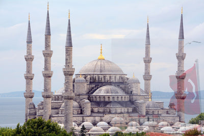 Turkey,   During UAE National day