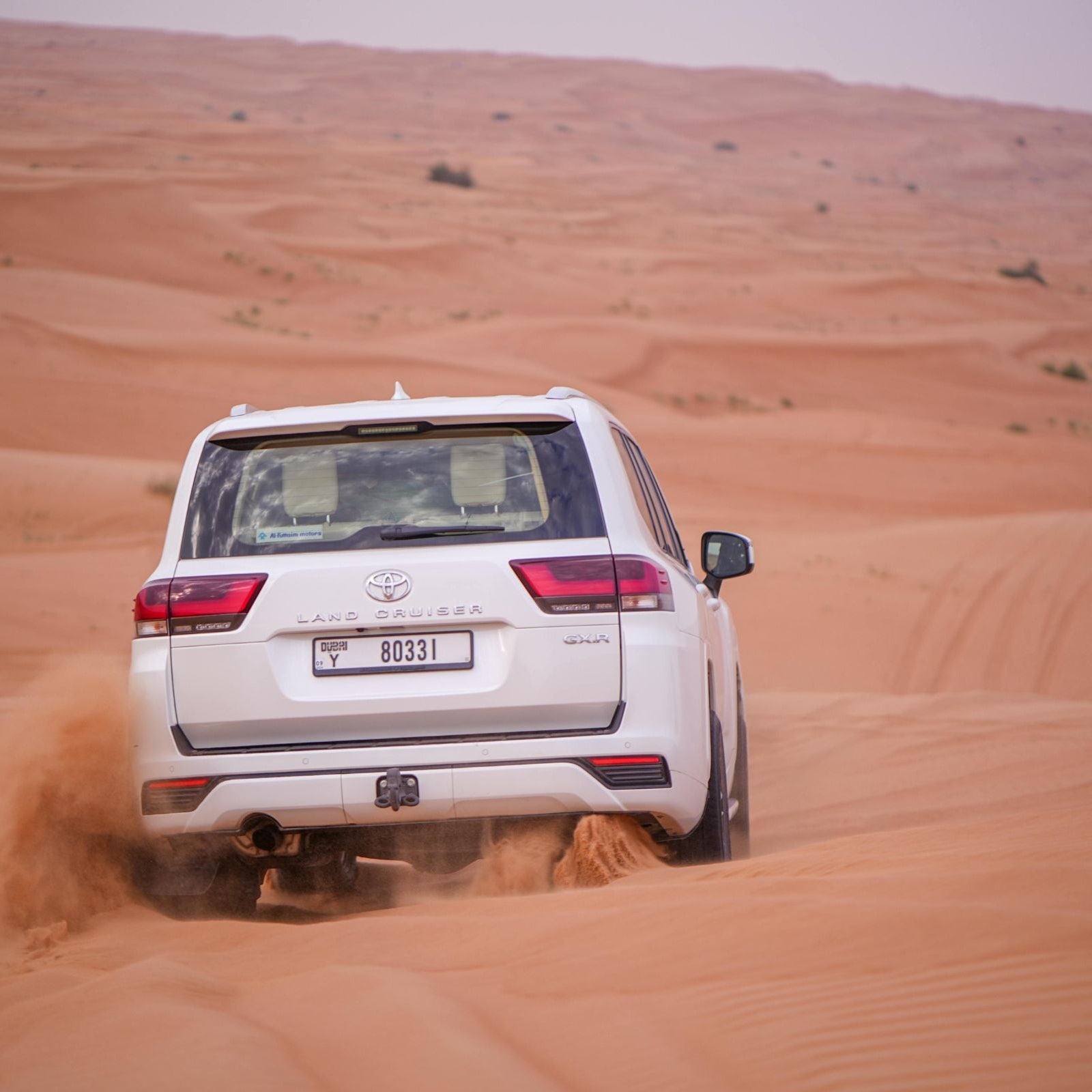 Luxury Heritage Evening Desert Safari
