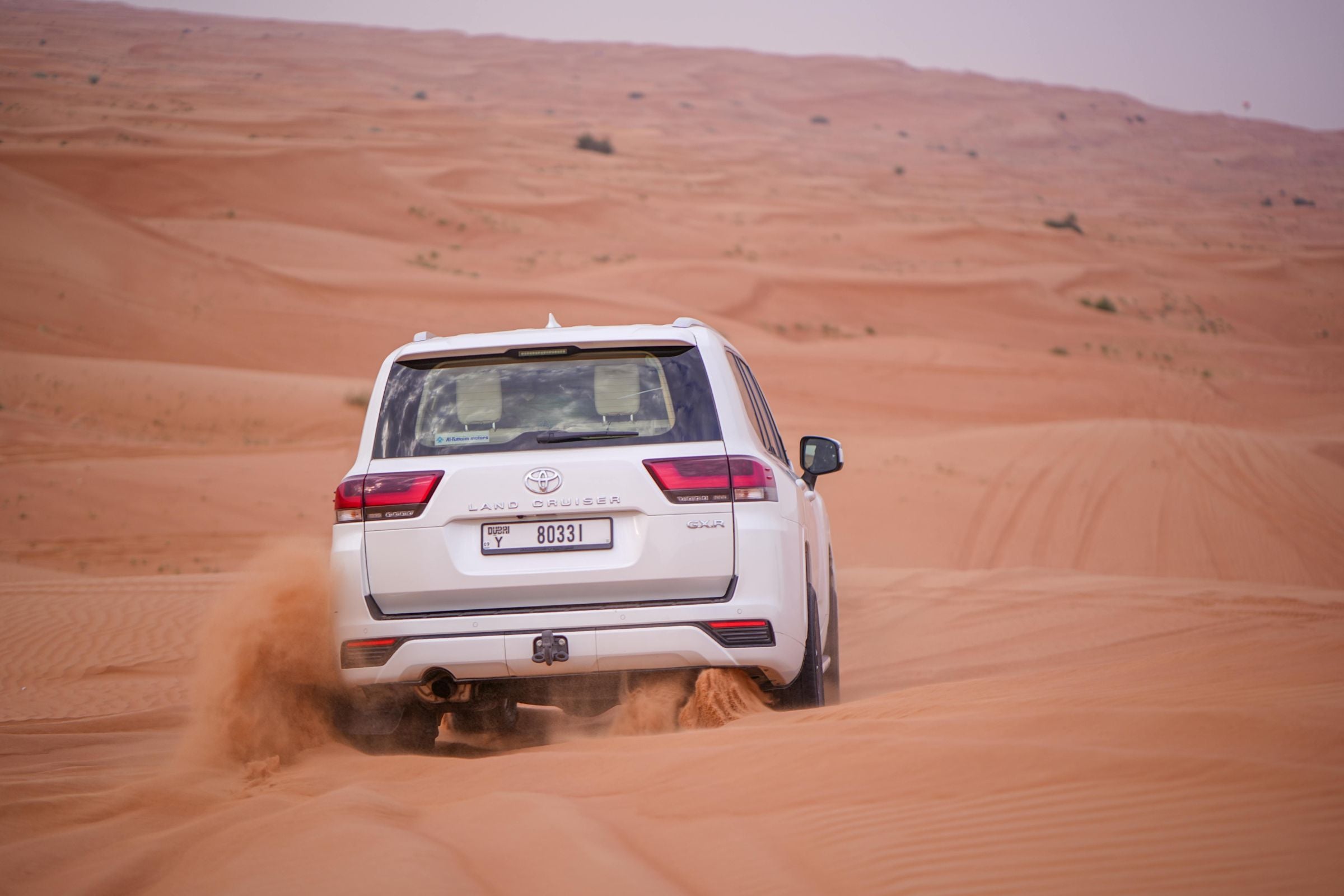 Luxury Heritage Evening Desert Safari