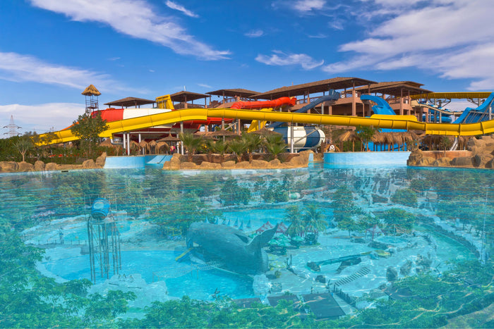 Wild Wadi Waterpark Ticket With Meal
