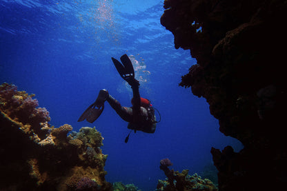 Deep Dive Dubai - Discover Scuba Diving for Beginners